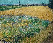unknow artist Vincent van Gogh Wheatfield Spain oil painting artist